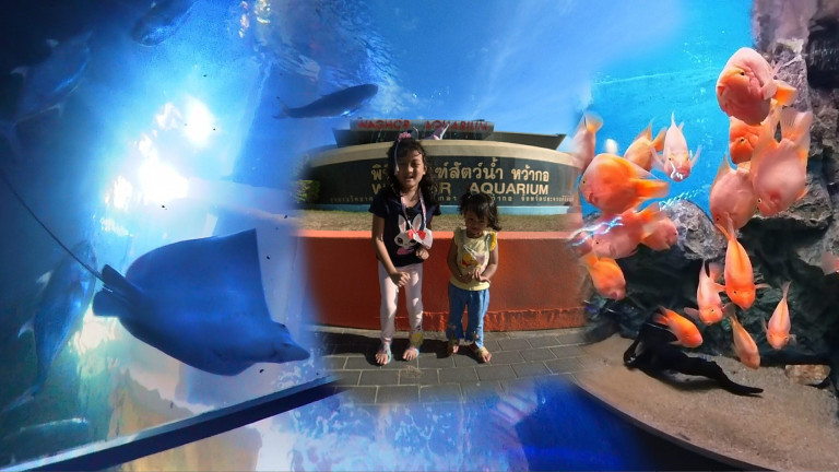 Jas Kids Show Waghor Aquarium Prachuap Khiri Khan Thailand 011